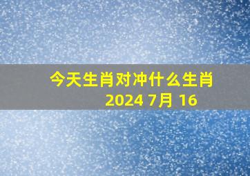 今天生肖对冲什么生肖2024 7月 16